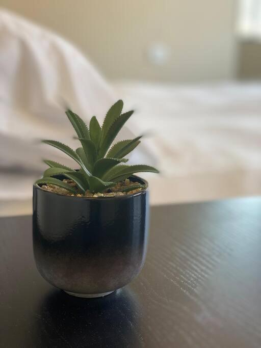 Prime Location! 1 Bedroom Apt In Tlv Beating Heart تل أبيب المظهر الخارجي الصورة